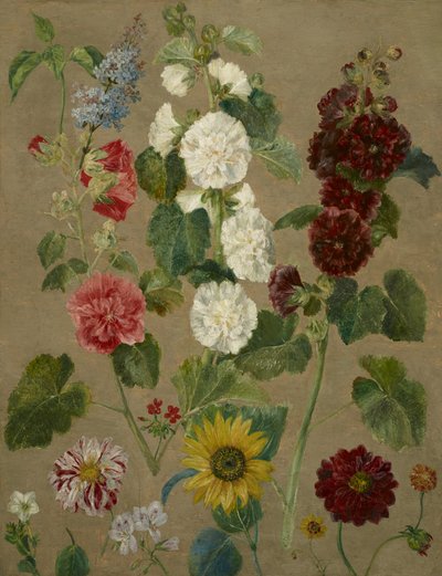 Senza titolo [fiori] da Ferdinand Victor Eugene Delacroix